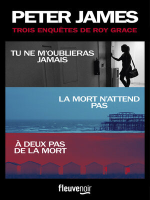 cover image of Trois enquêtes de Roy Grace
